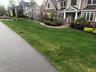 Mowing Lawns